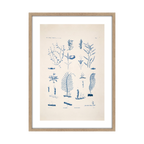 Tableau planche mer 50 x 70 cm