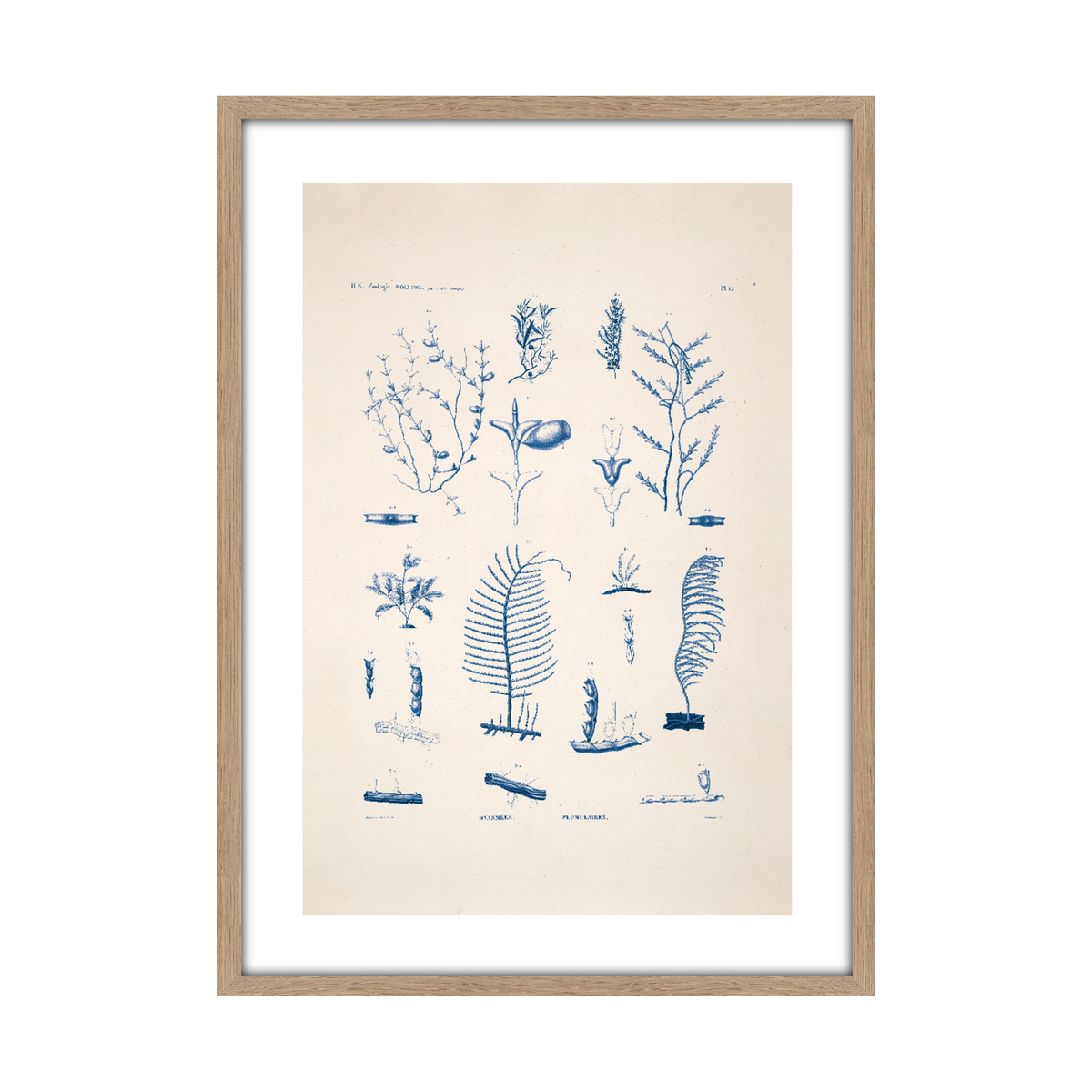 Tableau Planche sea 50 x 70 cm