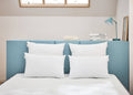 Lot de 2 oreillers moelleux