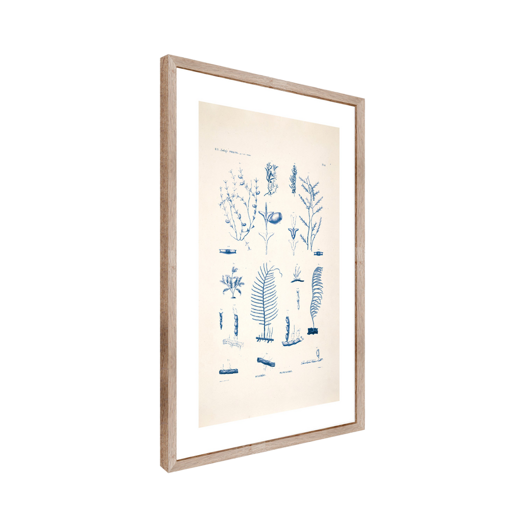Tableau planche mer 50 x 70 cm