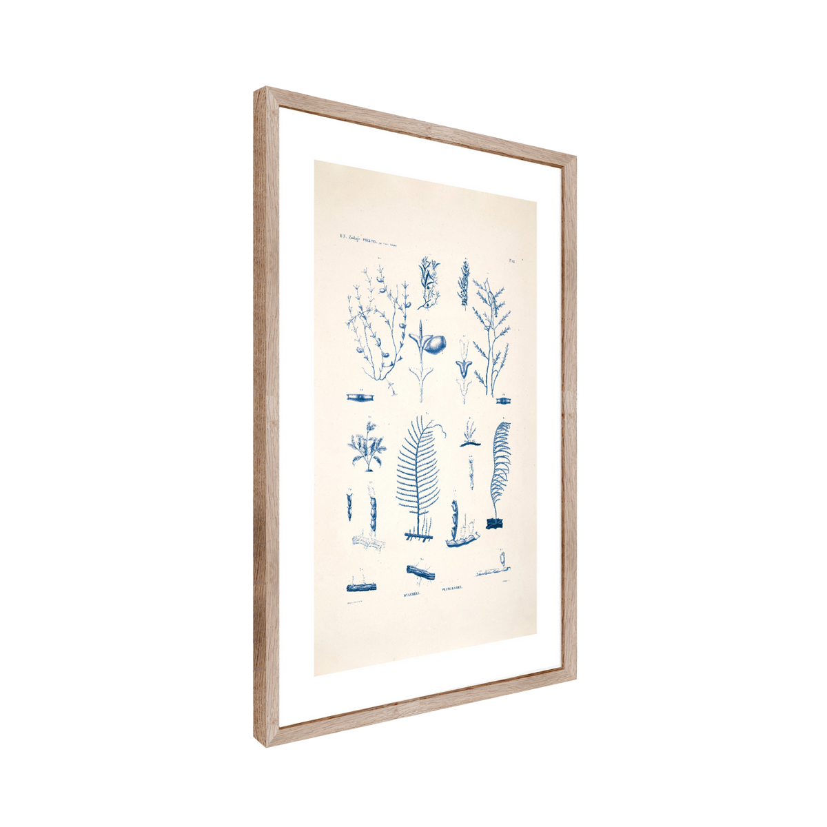 Tableau Planche sea 50 x 70 cm